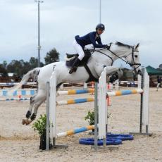 OZS 2283 high square