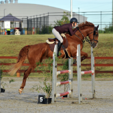 SOILTEX - Suitable for Showjumping